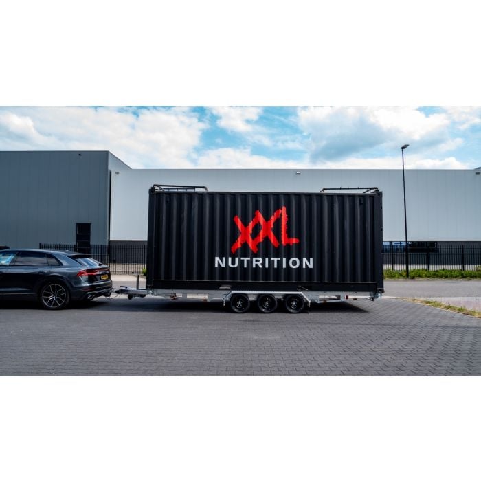 Vlemmix 20FT Remorque pour conteneur 600x244cm 3500kg à essieu tandem